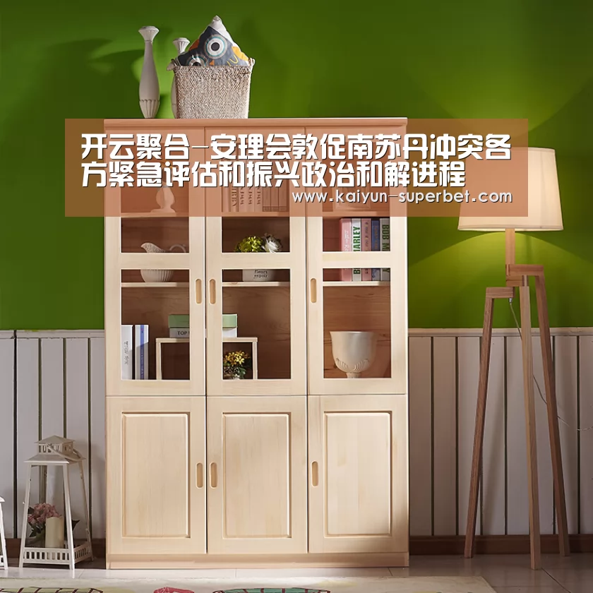 开云聚合-安理会敦促南苏丹冲突各方紧急评估和振兴政治和解进程(图4) 开云聚合