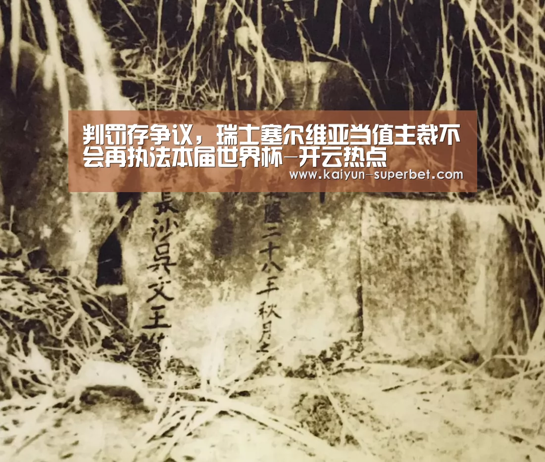 判罚存争议,瑞士塞尔维亚当值主裁不会再执法本届世界杯-开云热点(图3) 开云赛事