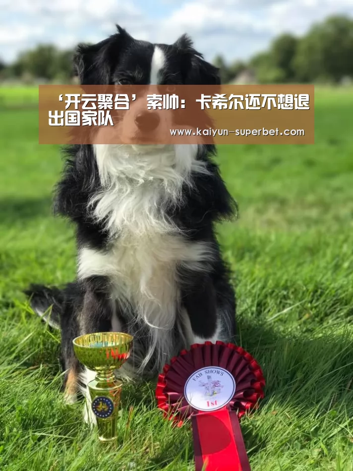 ‘开云聚合’索帅:卡希尔还不想退出国家队(图1) 开云聚合