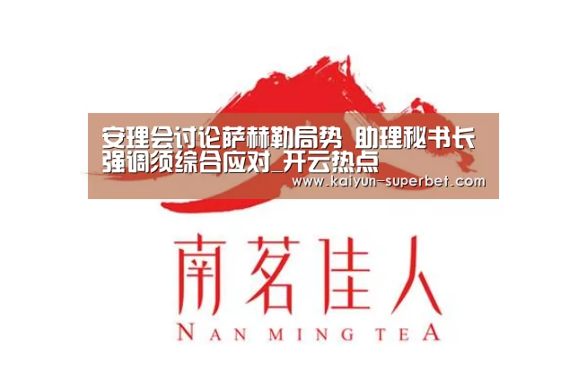 安理会讨论萨赫勒局势 助理秘书长强调须综合应对_开云热点(图2) 开云热点