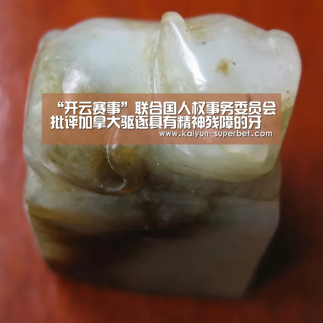 “开云赛事”联合国人权事务委员会批评加拿大驱逐具有精神残障的牙买加男子(图3) 开云热点
