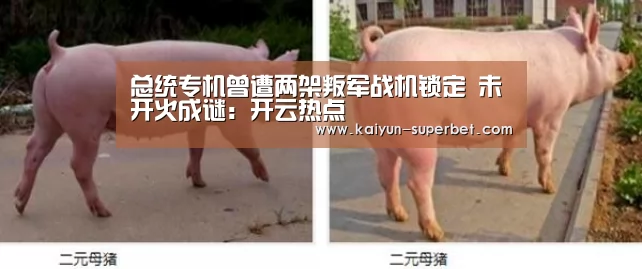总统专机曾遭两架叛军战机锁定 未开火成谜:开云热点(图1) 开云热点