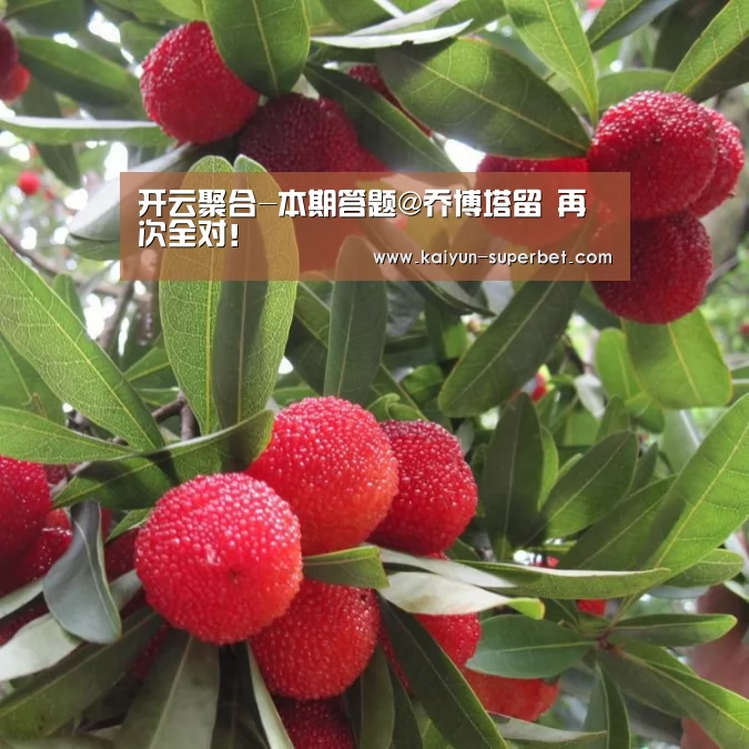 开云聚合-本期答题@乔博塔留 再次全对!(图1) 开云赛事