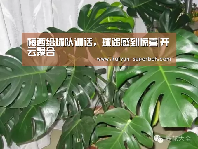 梅西给球队训话,球迷感到惊喜|开云聚合(图2) 开云热点