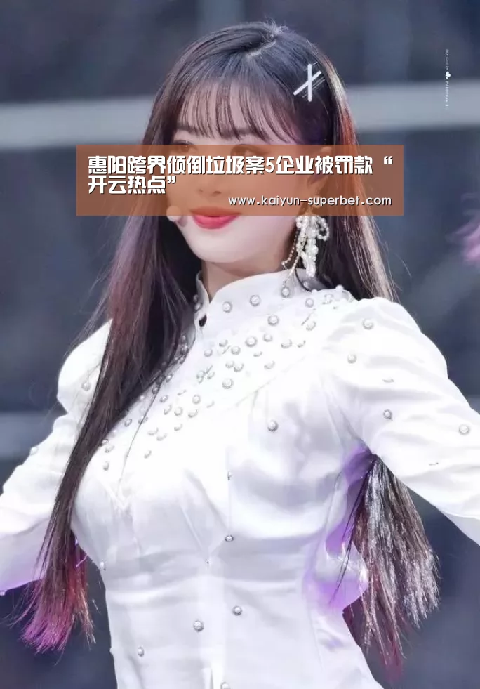 惠阳跨界倾倒垃圾案5企业被罚款“开云热点”(图3) 开云推荐